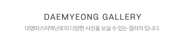 대명따스미벽난로_메인문구